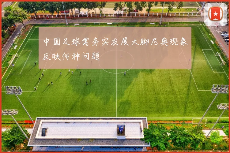 中国足球需务实发展大脚尼奥现象反映何种问题