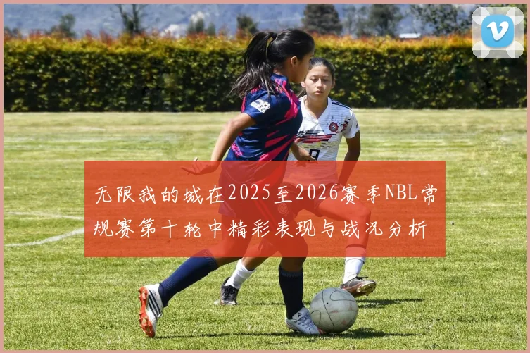 无限我的城在2025至2026赛季NBL常规赛第十轮中精彩表现与战况分析