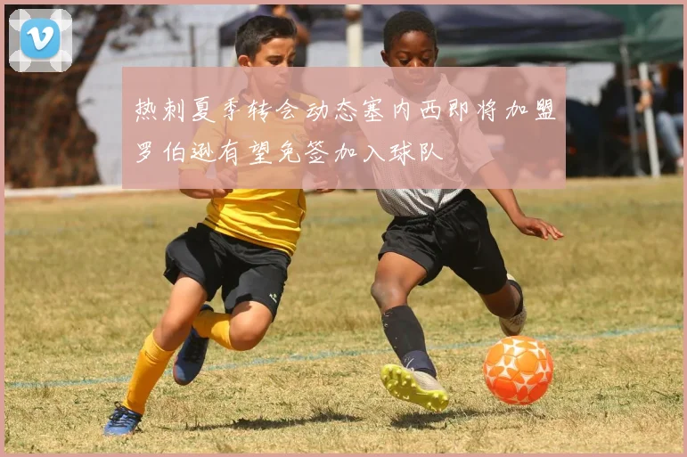 热刺夏季转会动态塞内西即将加盟罗伯逊有望免签加入球队