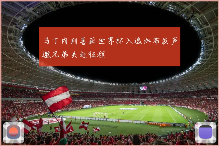 马丁内利喜获世界杯入选加布发声邀兄弟共赴征程